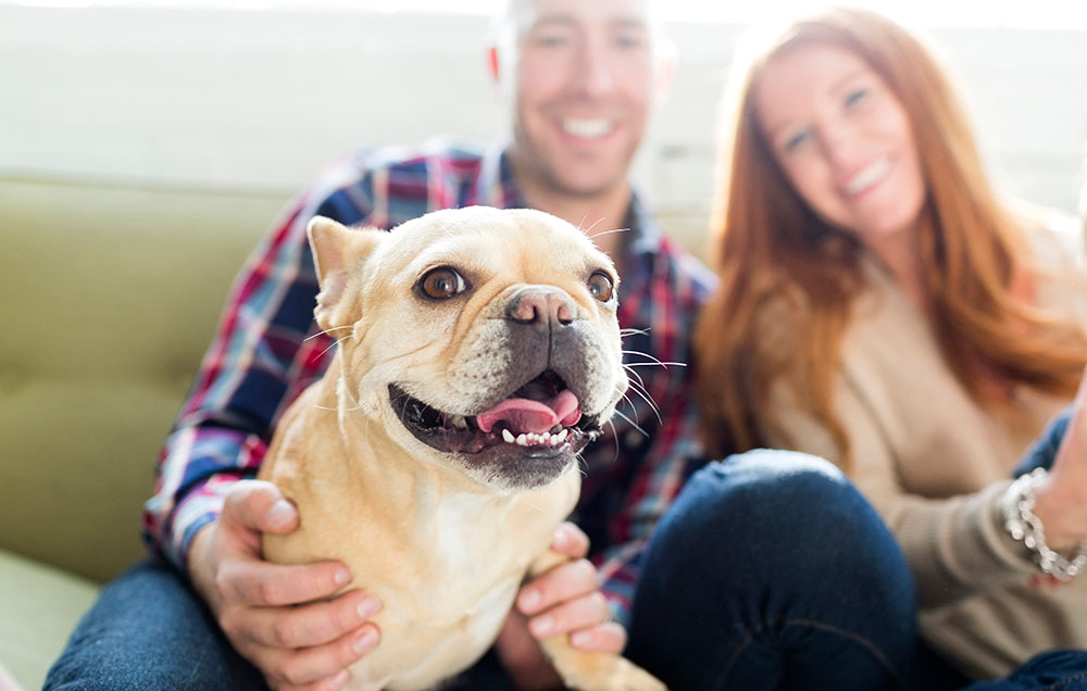 Finding a Home for Pet Owners
